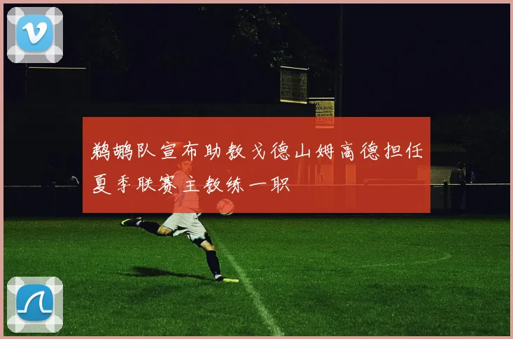 鹈鹕队宣布助教戈德山姆高德担任夏季联赛主教练一职