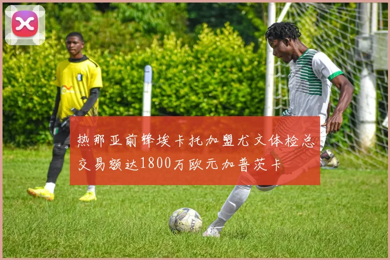 热那亚前锋埃卡托加盟尤文体检总交易额达1800万欧元加普茨卡